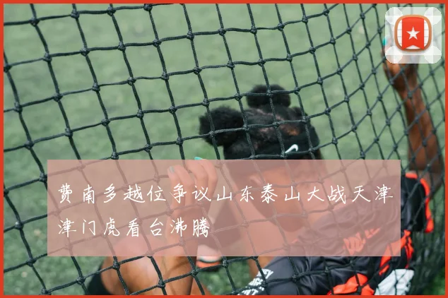 费南多越位争议山东泰山大战天津津门虎看台沸腾