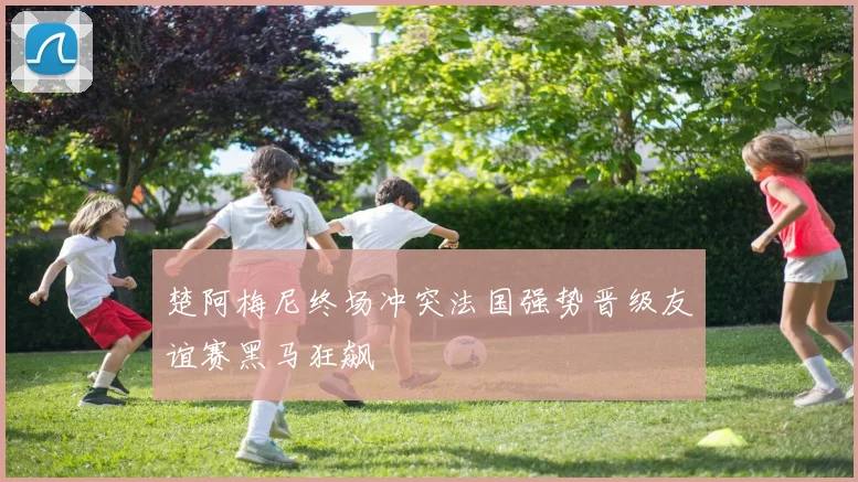 楚阿梅尼终场冲突法国强势晋级友谊赛黑马狂飙