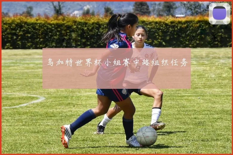 乌加特世界杯小组赛中路组织任务