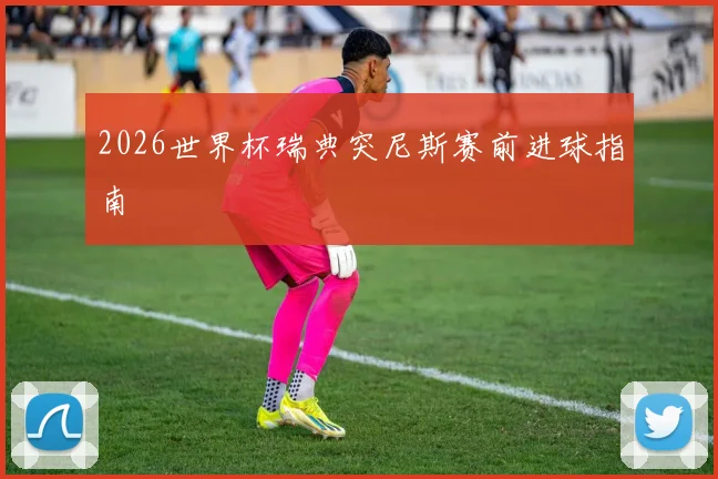 2026世界杯瑞典突尼斯赛前进球指南