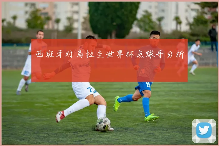 西班牙对乌拉圭世界杯点球手分析
