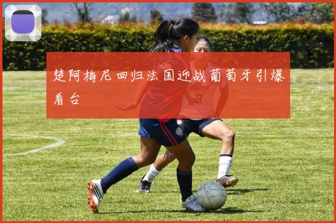 楚阿梅尼回归法国迎战葡萄牙引爆看台
