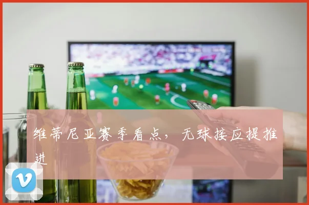 维蒂尼亚赛季看点，无球接应提推进